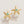 Load image into Gallery viewer, Friendship Starfish Sea La Vie Stud Earrings
