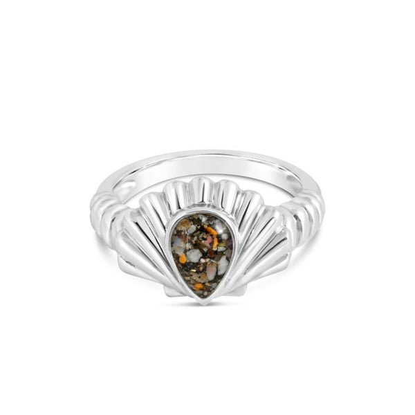 Coastal Shell Ring