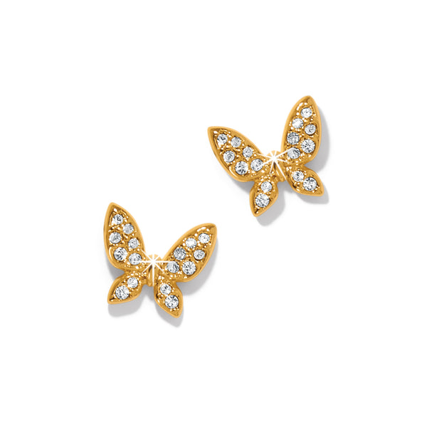 Enchanting Butterfly Post Earrings Gold