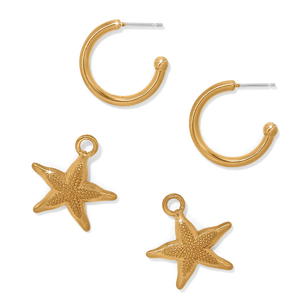Twilight Waters Starfish Hoop Earrings