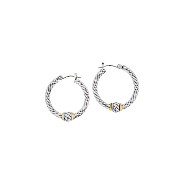 Oval Link Small Twisted Wire Hoop Earrings