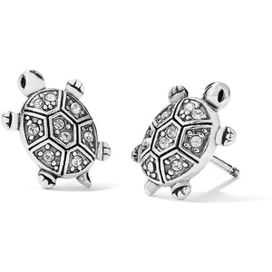 Fortune Turtles Mini Post Earrings - Jenna Jane's Jewelry