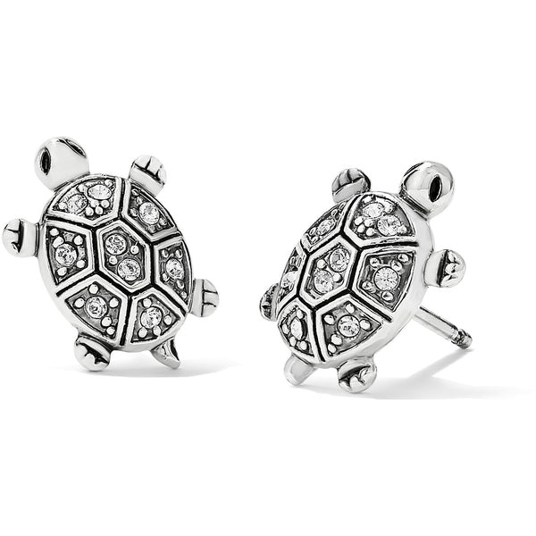 Fortune Turtles Mini Post Earrings - Jenna Jane's Jewelry
